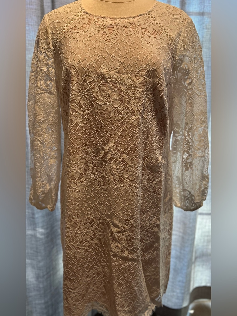 Vince Camuto Beige Lace Long Sleeve Shift Dress